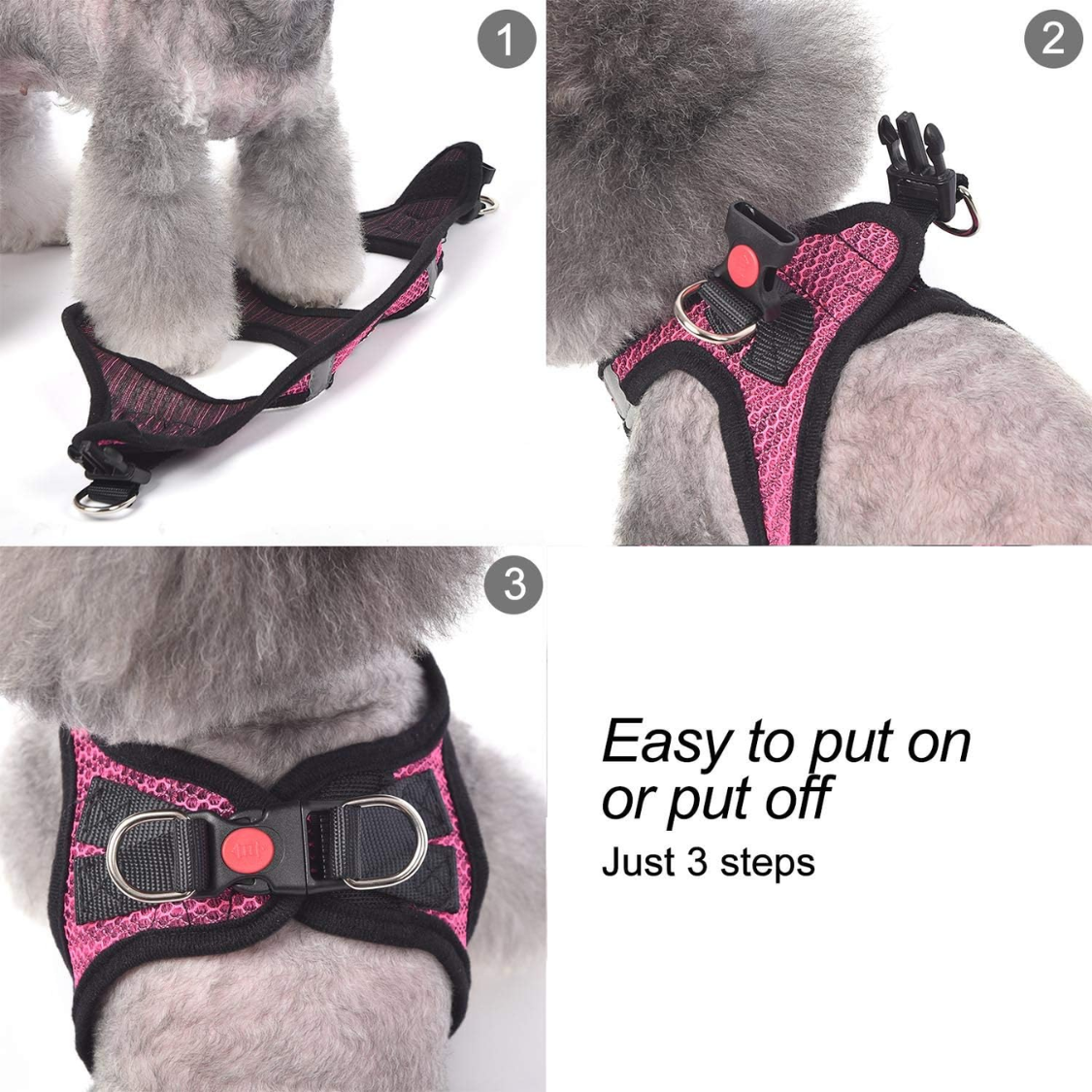 Breathable Dog & Cat Vest Harness with Leash - Small Medium Pets, Blue