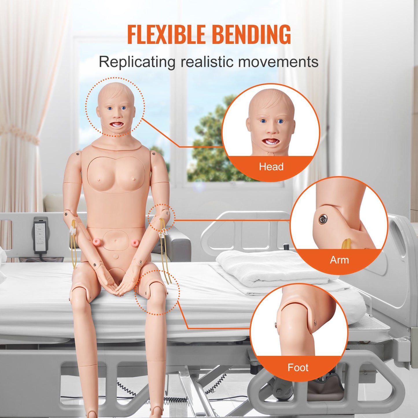 Life Size Nursing Training Manikin - Male/Female Anatomical Model
