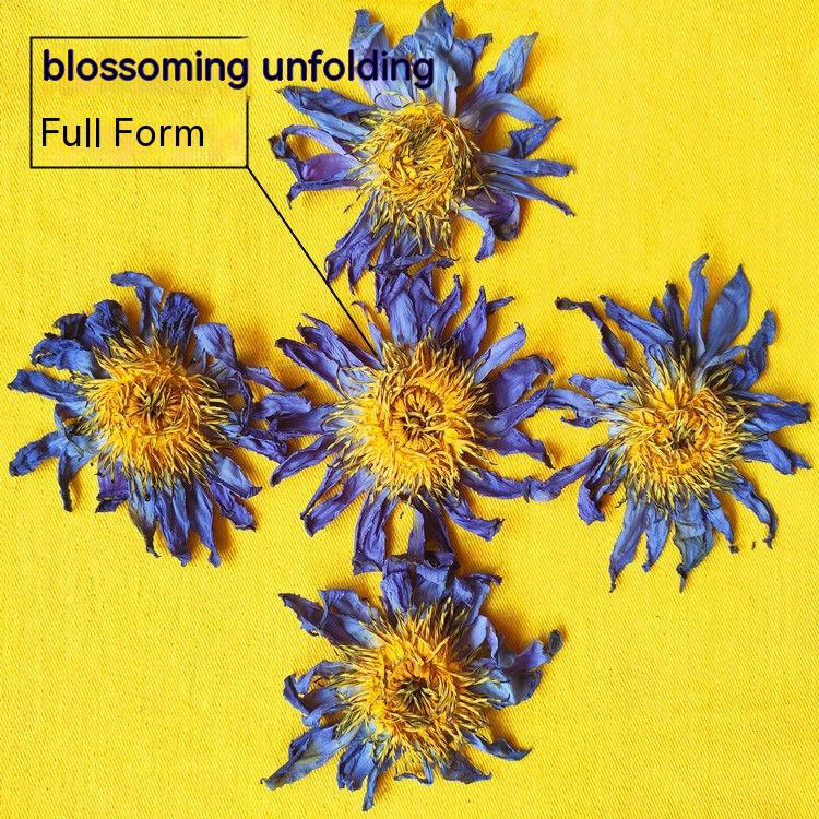 Blue Lotus Dried Flowers for Home Decor - Natural Fragrance & Rich Selection