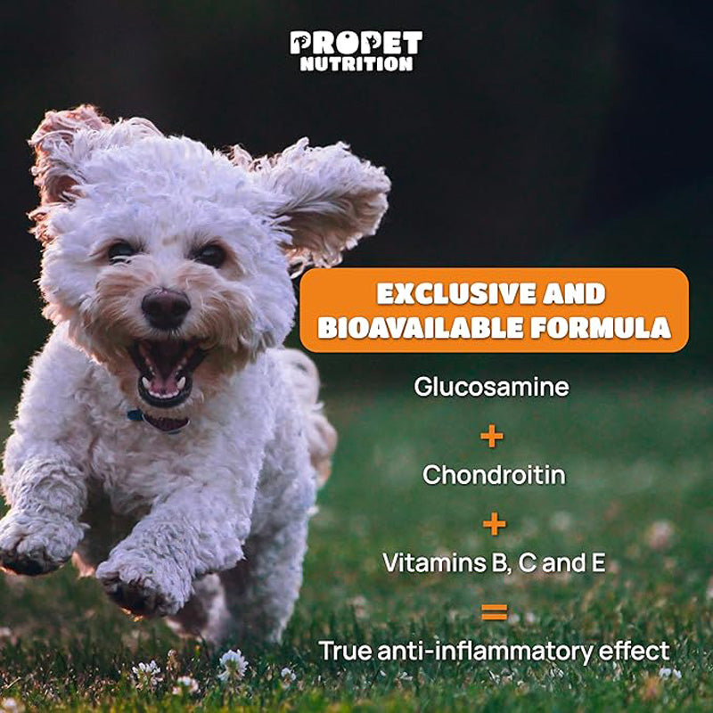 Dog and Cat Joint Supplement with Glucosamine, Chondroitin & MSM - Orange