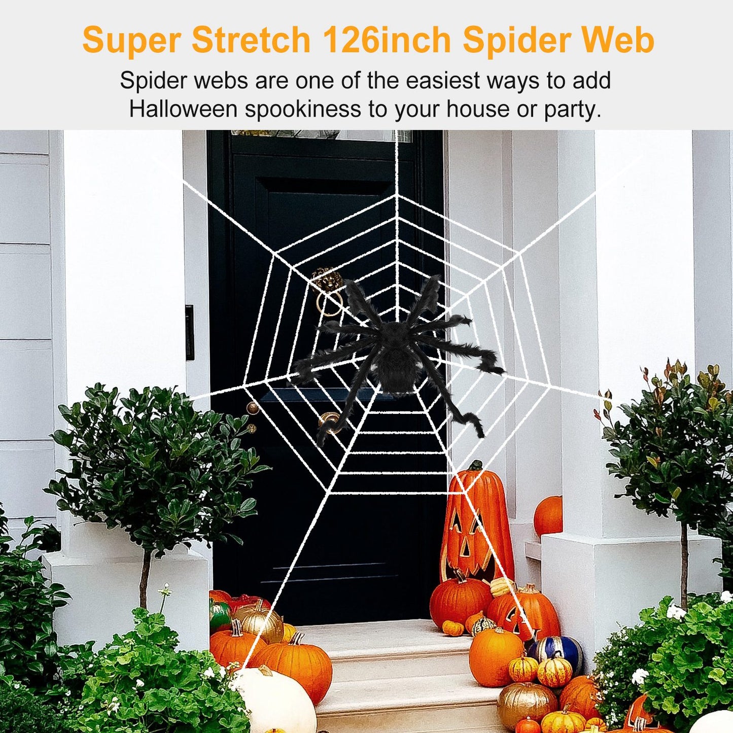 49-Inch Halloween Spider Decoration with 126-Inch Stretch Web - Black