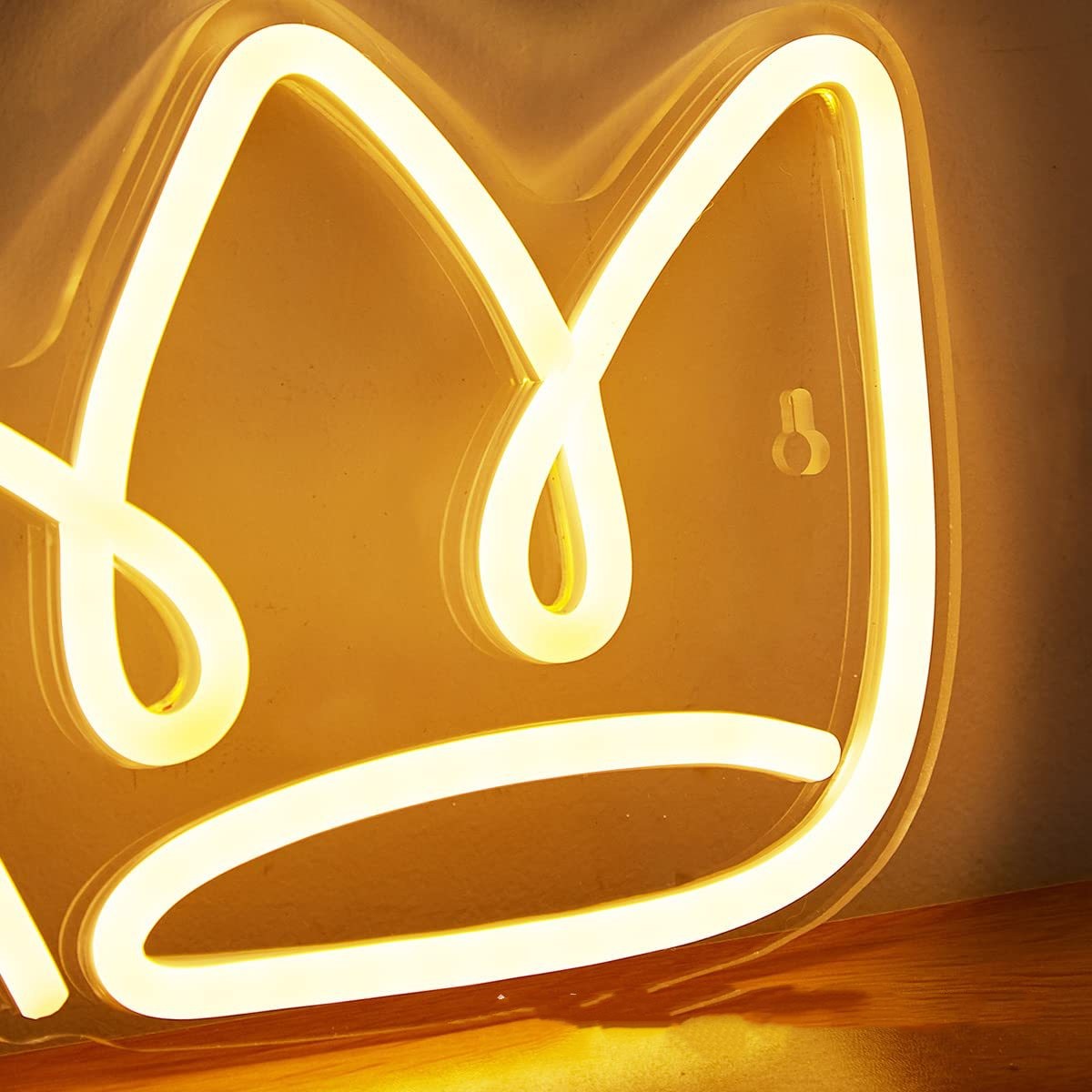Neon Acrylic Luminous Light Plate - Creative Interior & Party Decor