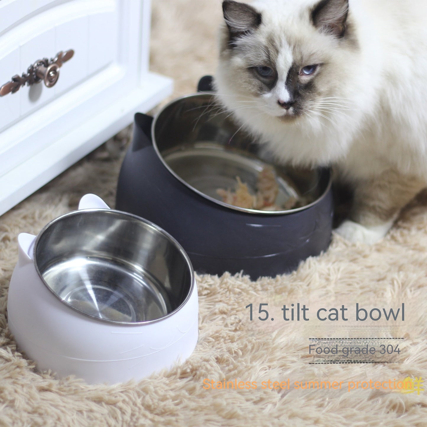 Stainless Steel Double Pet Food Bowl with Oblique Mouth for Cats and Dogs