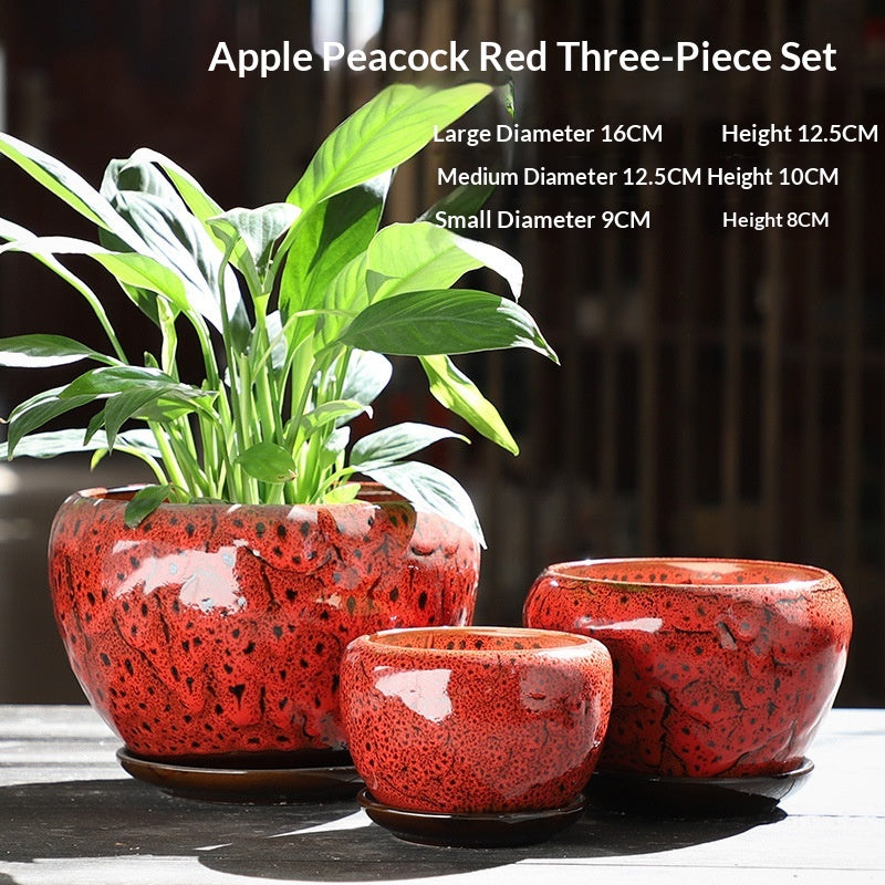 Minimalist Succulent Pot Set - Breathable, Durable Terracotta Planters with Trays