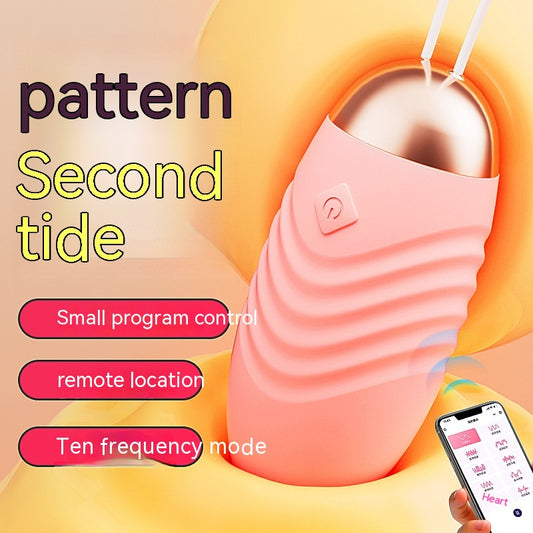 Remote Control Vibrator for Female Pleasure, Body-Entering, Pink & Purple