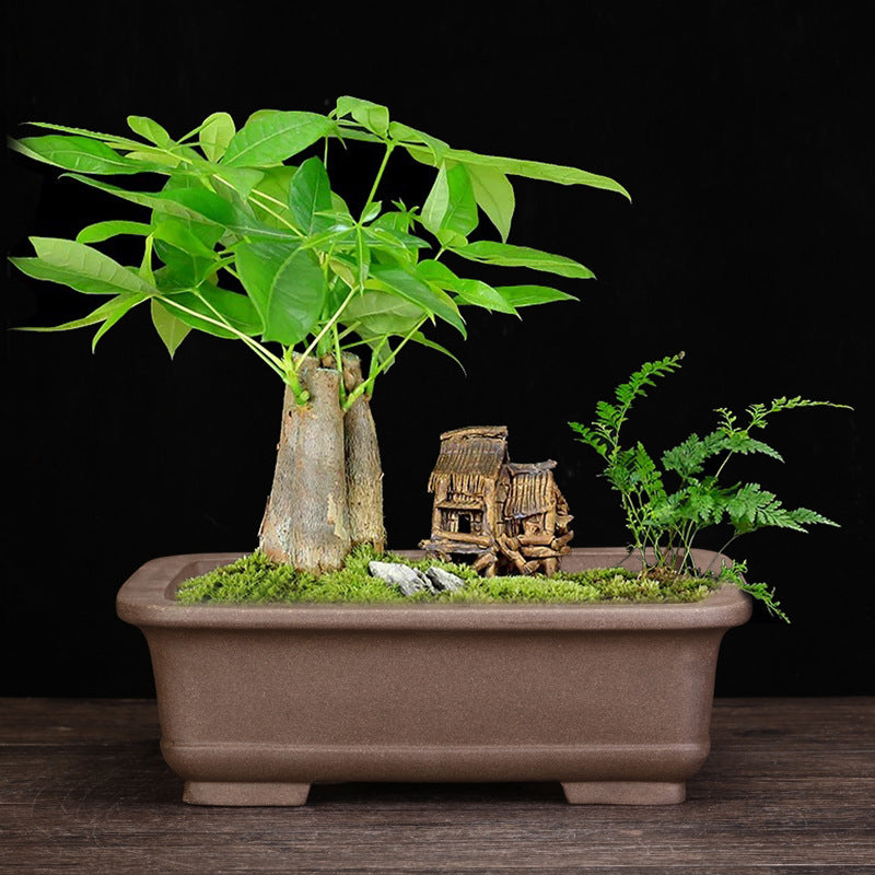 Ceramic Orchid Pot with Breathable Self-Priming Design - Houseplant Flower Container