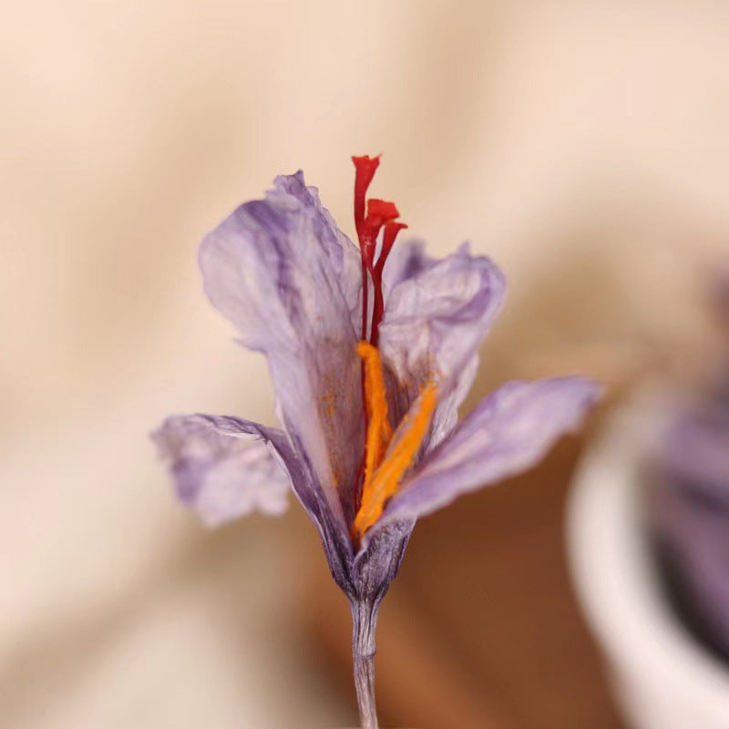 Premium Saffron Food Grade Spice - Multiple Sizes, Wholesale Bottled