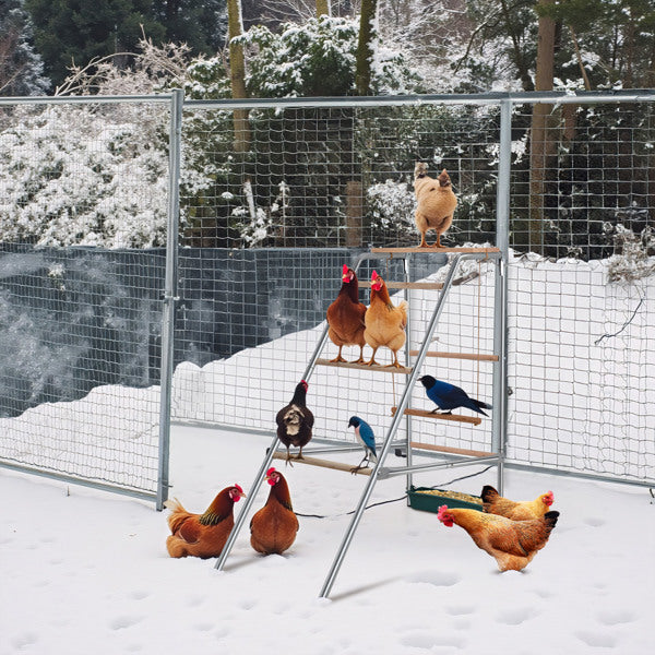 Outdoor Chicken Perch 103x50x100cm with 4 Levels - Durable Metal & Wood
