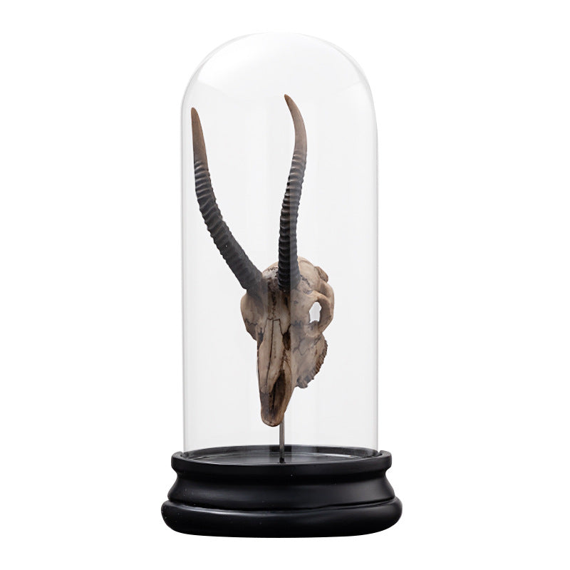 Animal Bone Fossil Decorative Accents - Personalized Home & Garden Decor