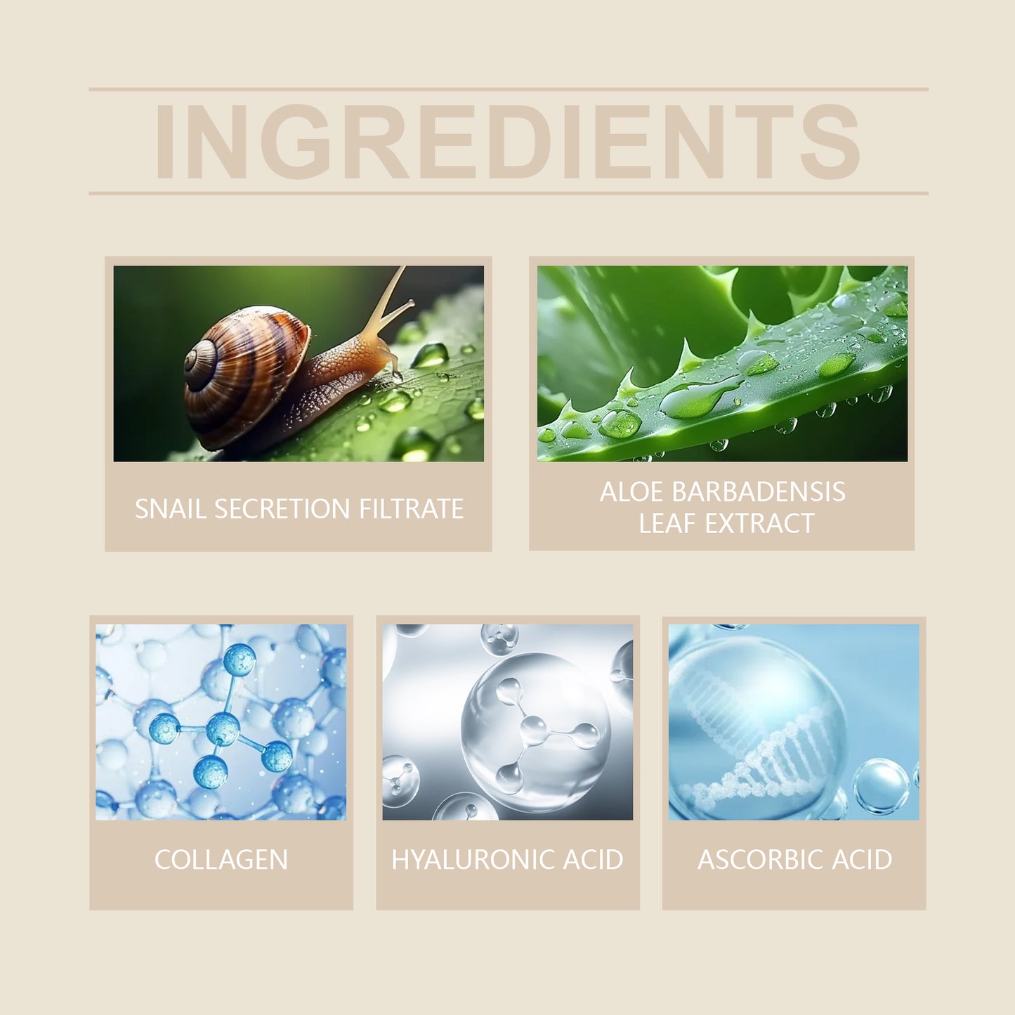 Snail Mucin Hydrating Serum with Hyaluronic Acid & Vitamin C - 100ml