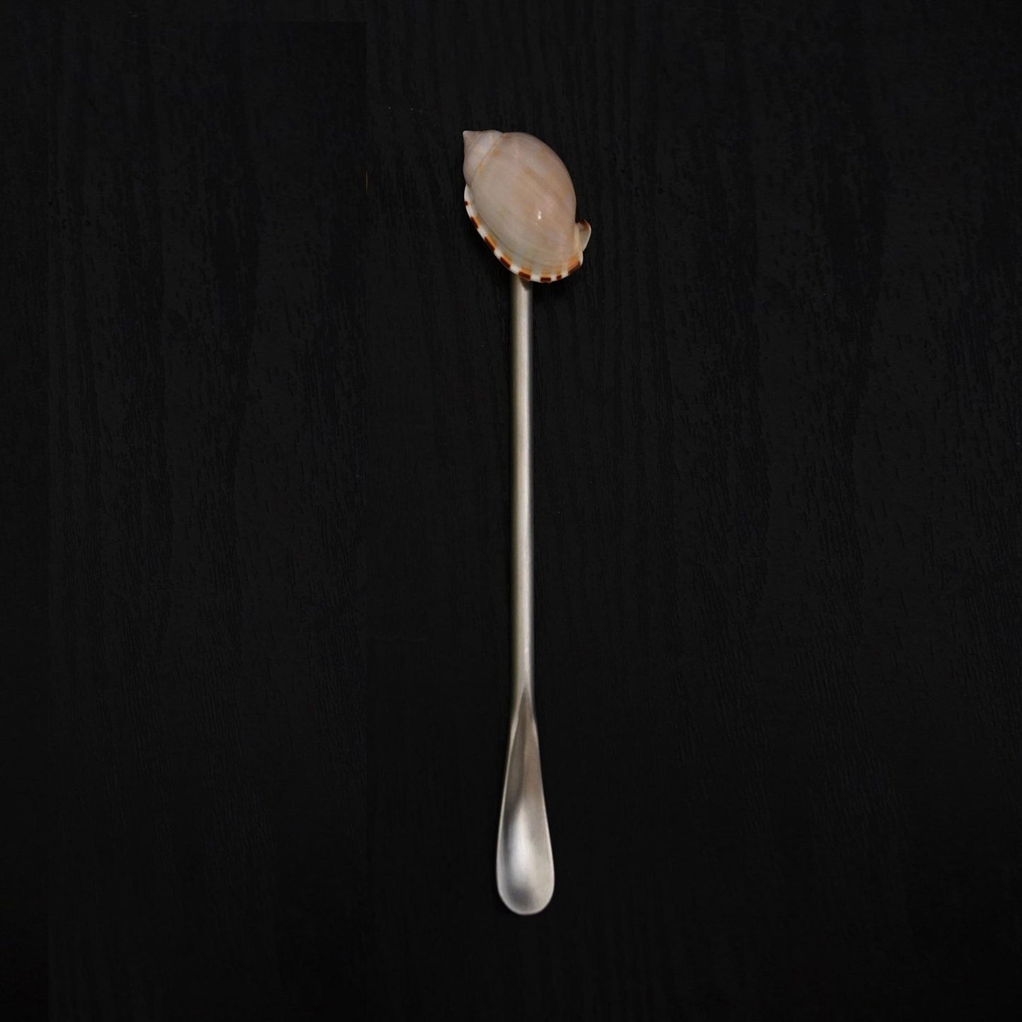 Conch Shell Glass Spoon for Wine Stirring - Creative Kitchen Utensil
