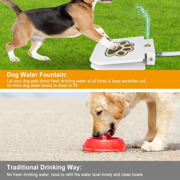 Outdoor Dog Water Fountain Paw-Controlled Drinking Dispenser - No Electricity