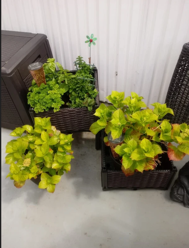 Self-Watering Raised Garden Bed with Legs - Brown Planter Box