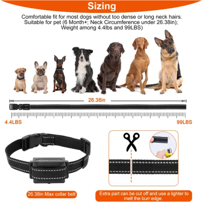 Dog Training Collar Receiver Waterproof IP67 for Obedience & Control