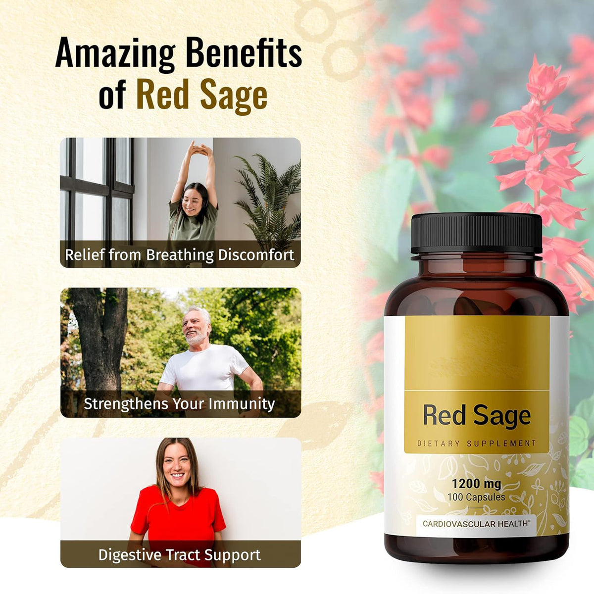 Salvia Miltiorrhiza Red Ginseng Capsule Supplement - 100 Tablets
