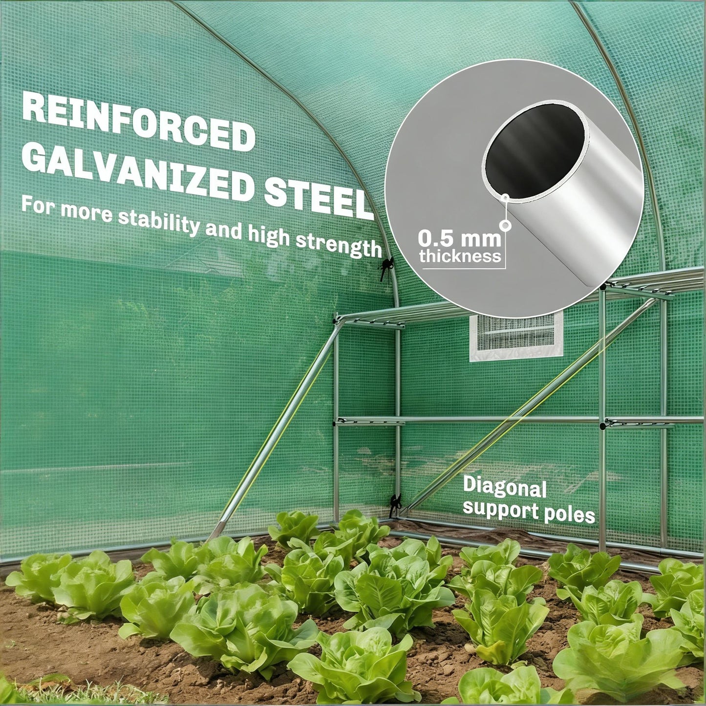Walk-In Greenhouse with Shelves - Outdoor Plant Hot House