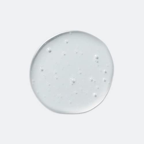 EVOLVh - Natural UltraShine Moisture Shampoo | Vegan, Non-Toxic, Clean Hair Care (33.8 fl oz | 1L)