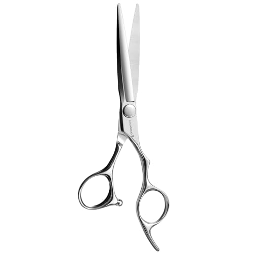 AOLANDUO Professional Hair Cutting Scissors - VG10 Steel Barber Shears, Ergonomic Handle - 1 Count, 6 in
