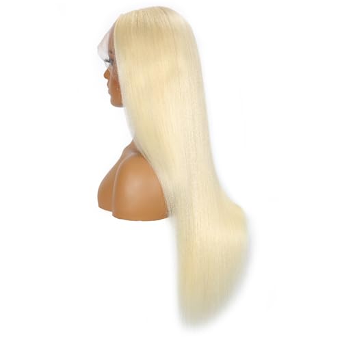 613 13x6 Lace Front Wig Human Hair 200 Density Blonde Wig Human Hair 613 HD Lace Frontal Wigs Human Hair Pre Plucked 613 HD Lace Frontal Wig Straight Glueless (24 Inch)