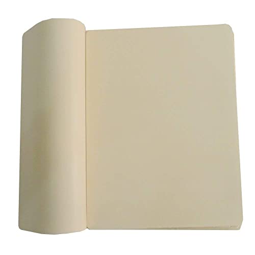 40pcs Tattoo Practice Skins with Tattoo Transfer Paper Kit Includes 30pcs A4 Size 4 Layers 8.5" x 11" Tattoo Paper and 10Pcs 8¡¿6in Double Sided Tattoo Skin Practice