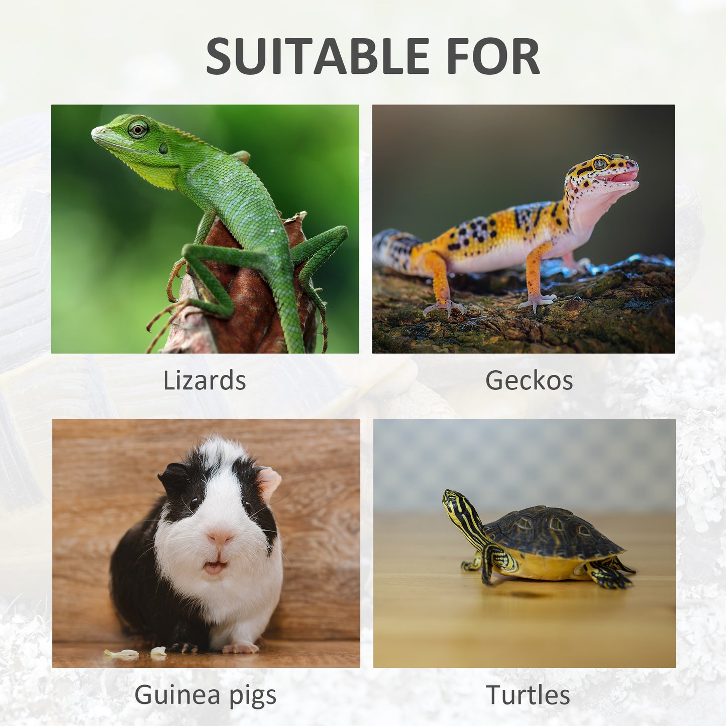 Wooden Reptile Cage with Sliding Tray for Turtles, Lizards, Snakes - Grey