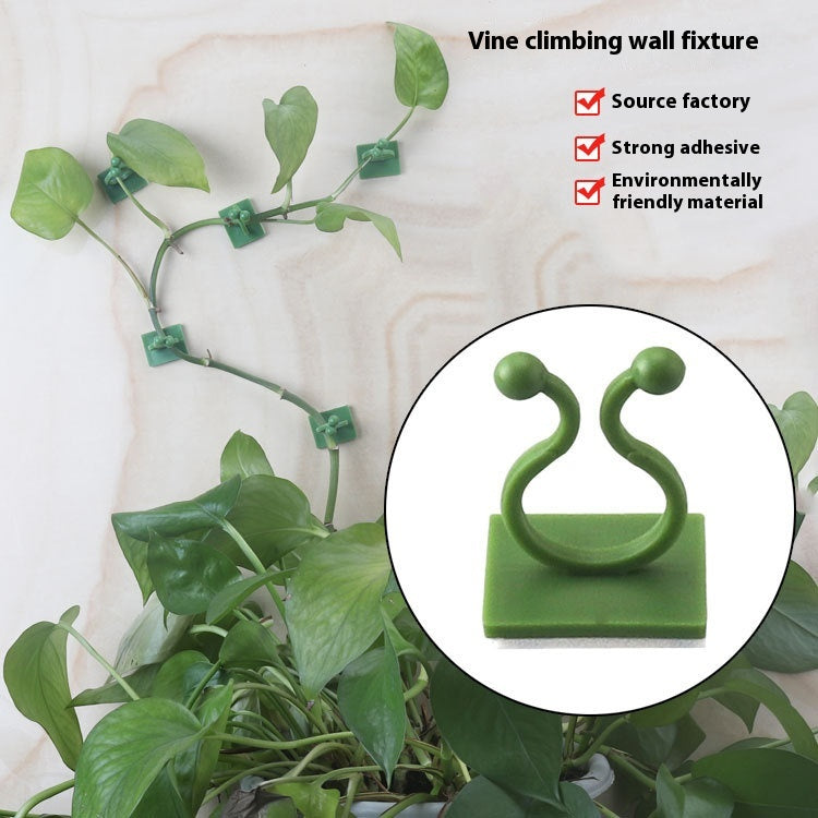 Plant Support Clips and Buckles for Garden & Home Plants