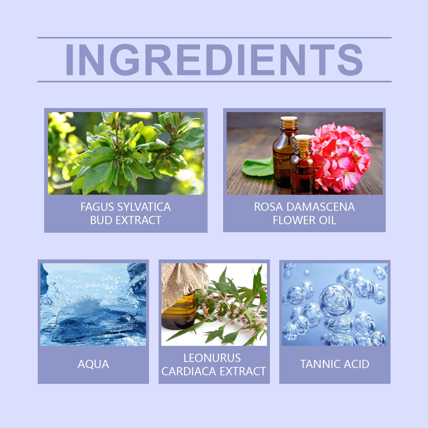 Facial Dark Spot Remover Cream - Nourishing & Hydrating Skin Care