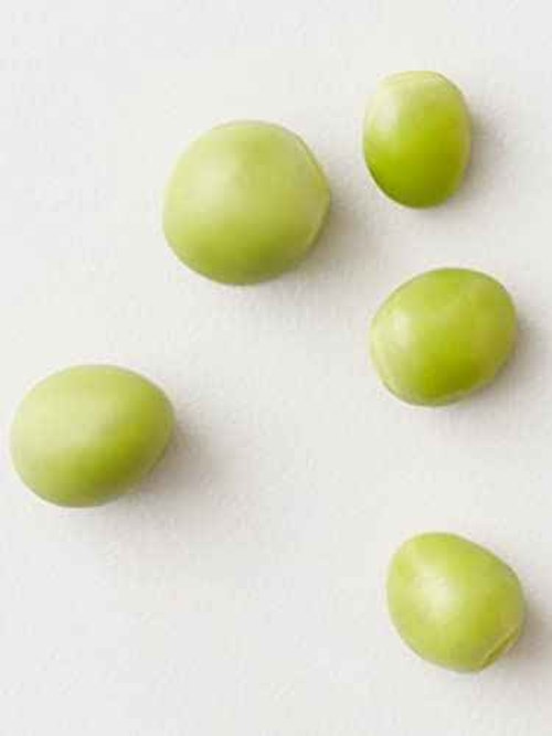 AG Hair Thikk Wash Volumizing Shampoo - Cleanse Scalp and Add Volume - Exclusive Regenerative Complex, 33.8 Fl Oz