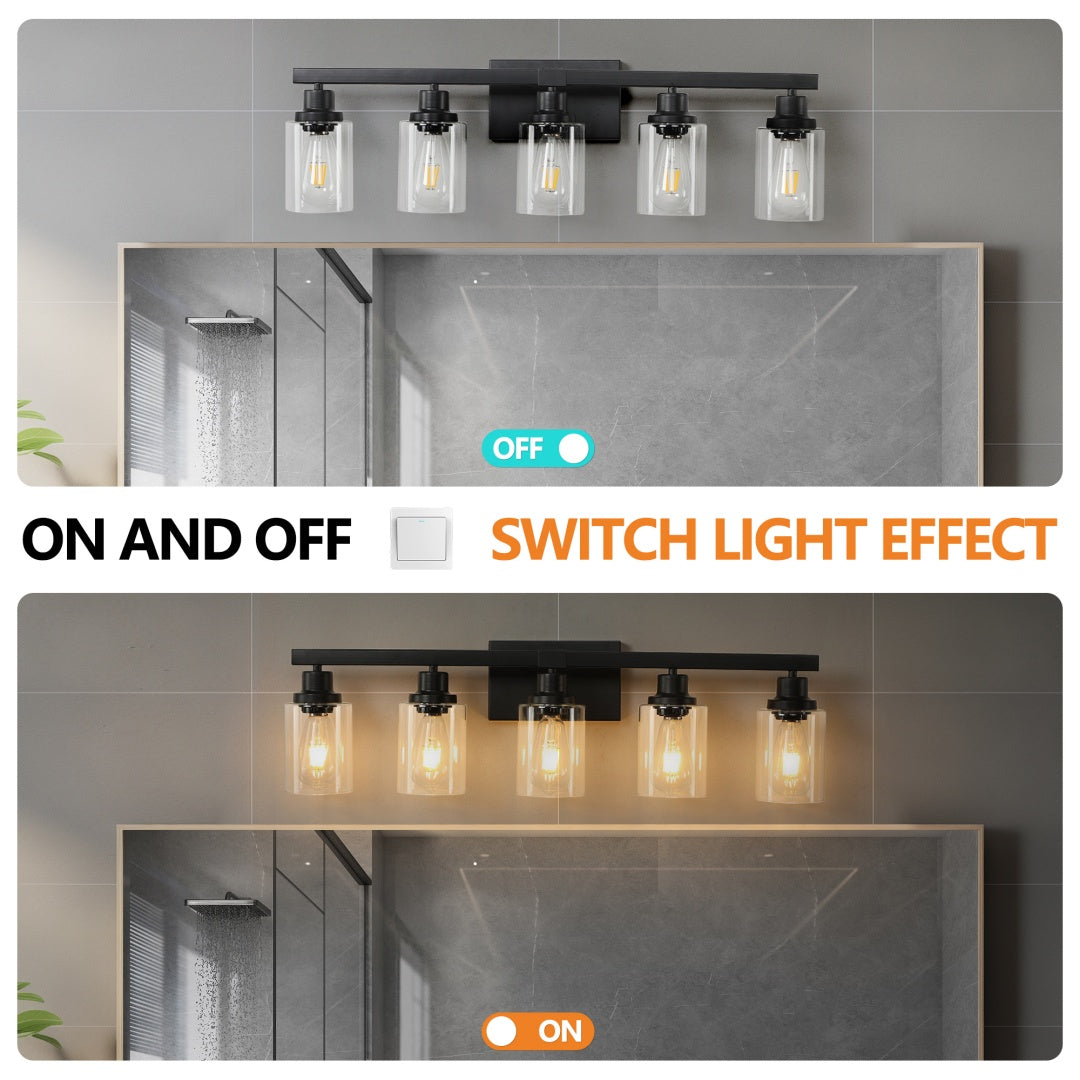 5-Light Black Bathroom Vanity Light Fixture with Glass Shades