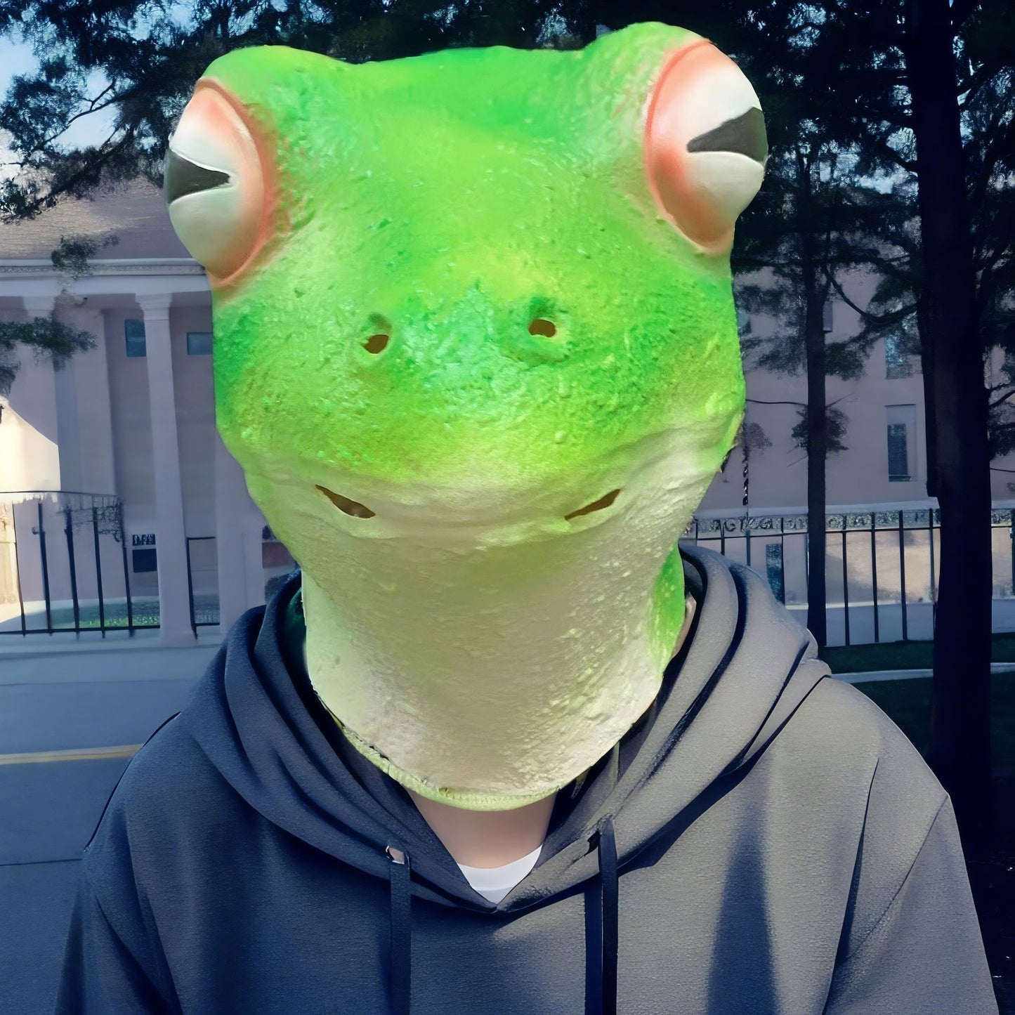Frog Latex Animal Head Mask for Halloween & Costume Parties