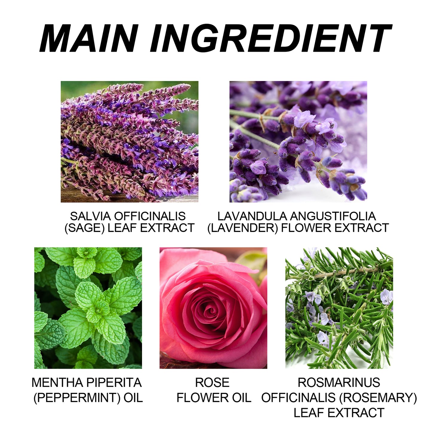 Essential Oil Sleep Patch for Relaxation and Better Sleep Quality