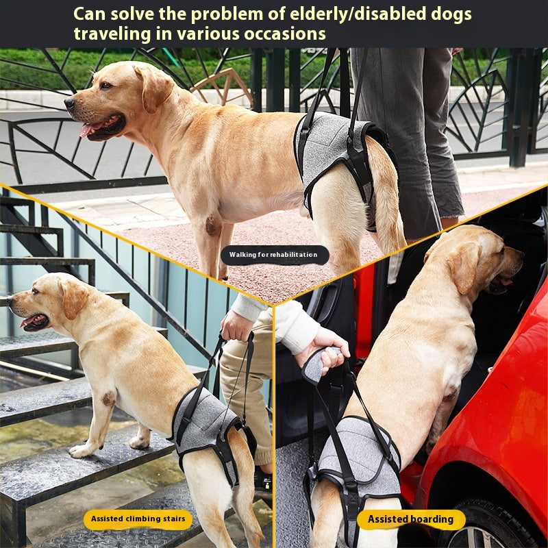 Elderly Dog Outing Back Strap - Adjustable Pet Harness for Senior Dogs