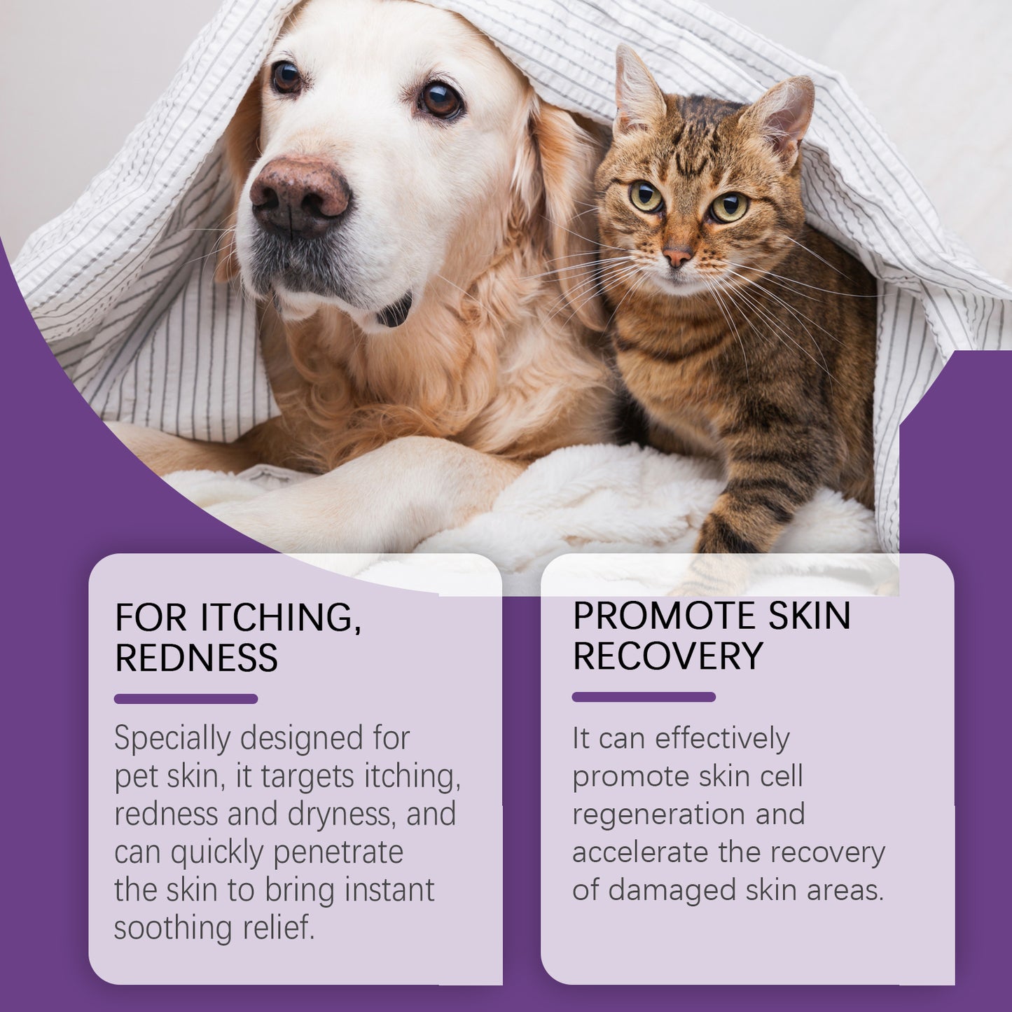 Pet Skin Soothing Cream for Dogs & Cats - Skin Repair & Itch Relief 20g