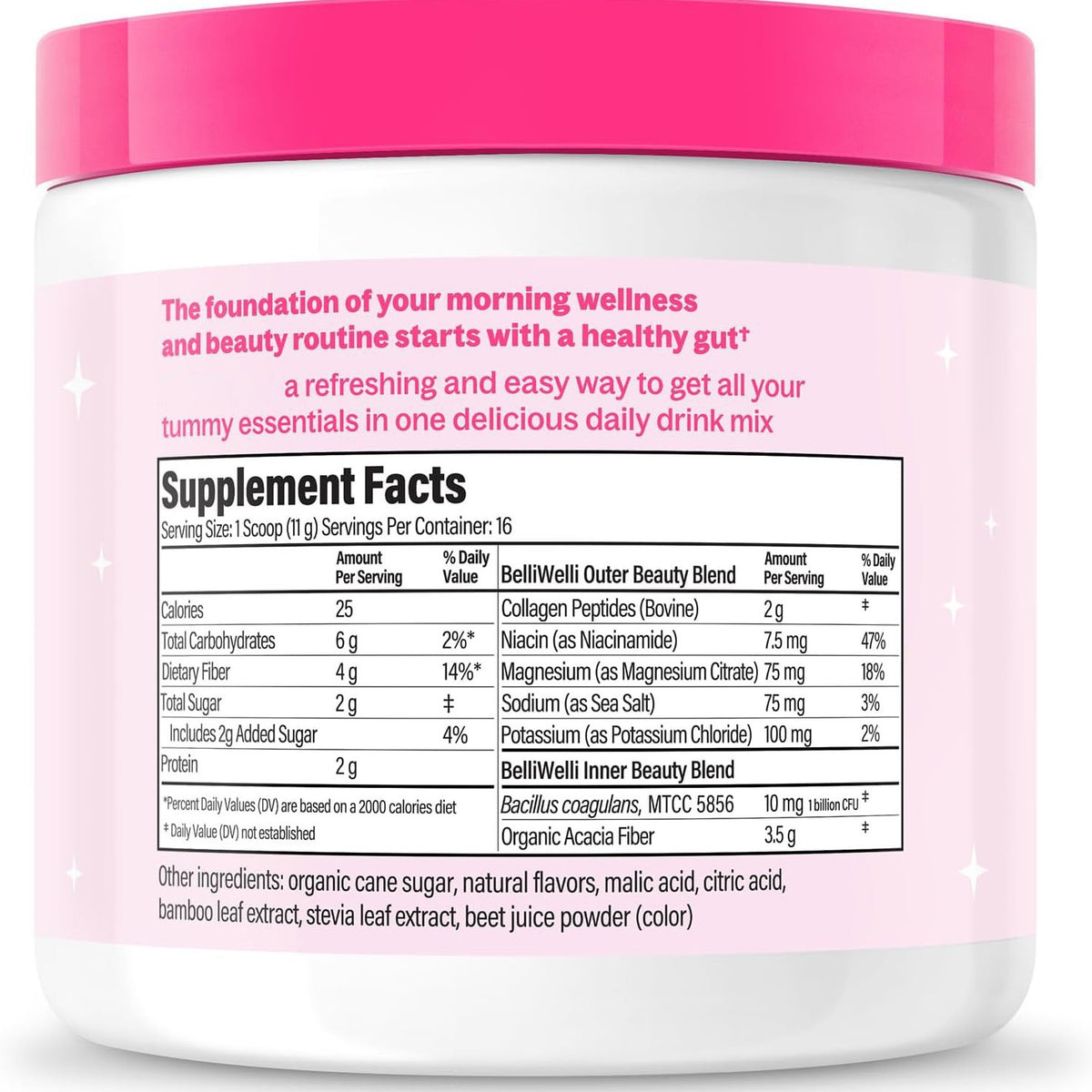 Probiotic Powder 181g | Multiple Flavors