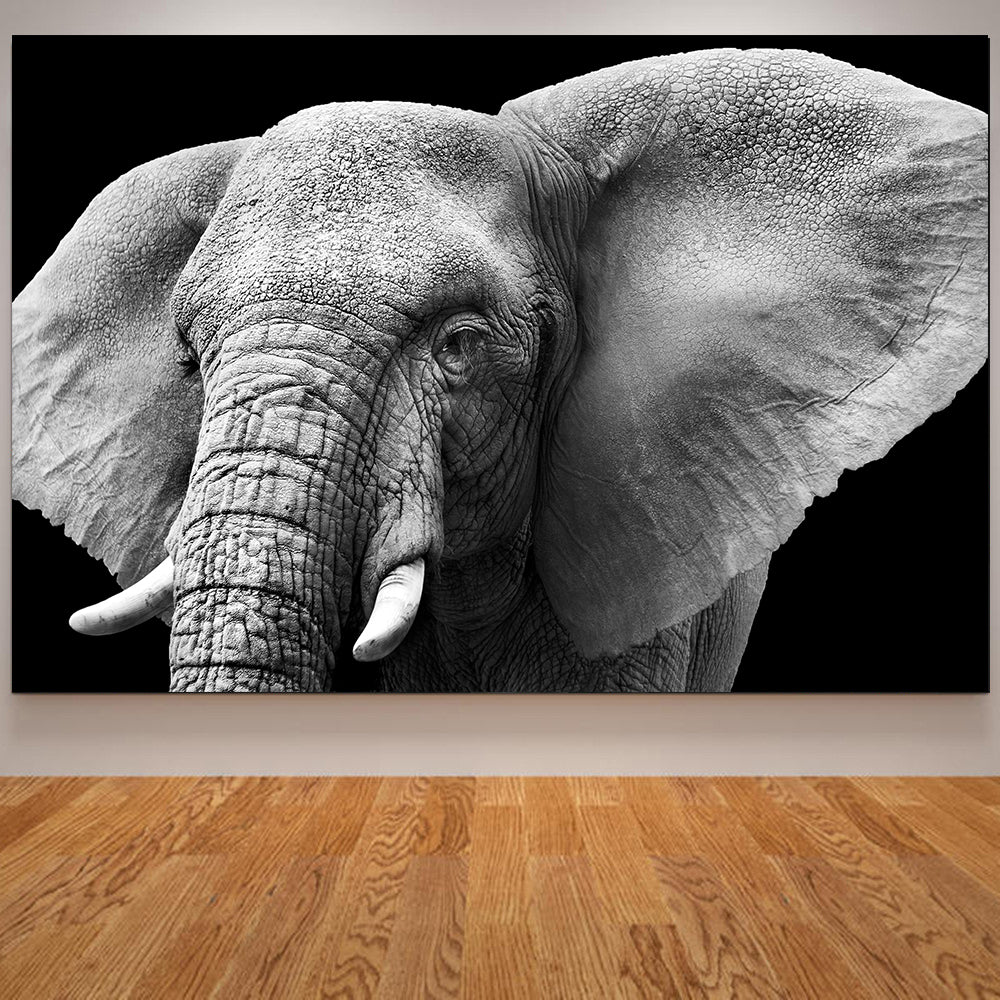 Elephant Wall Art Poster Canvas Print Black and White Animal Decor