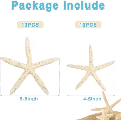 20 PCS Natural Real Starfish for DIY Crafts & Wedding Decor