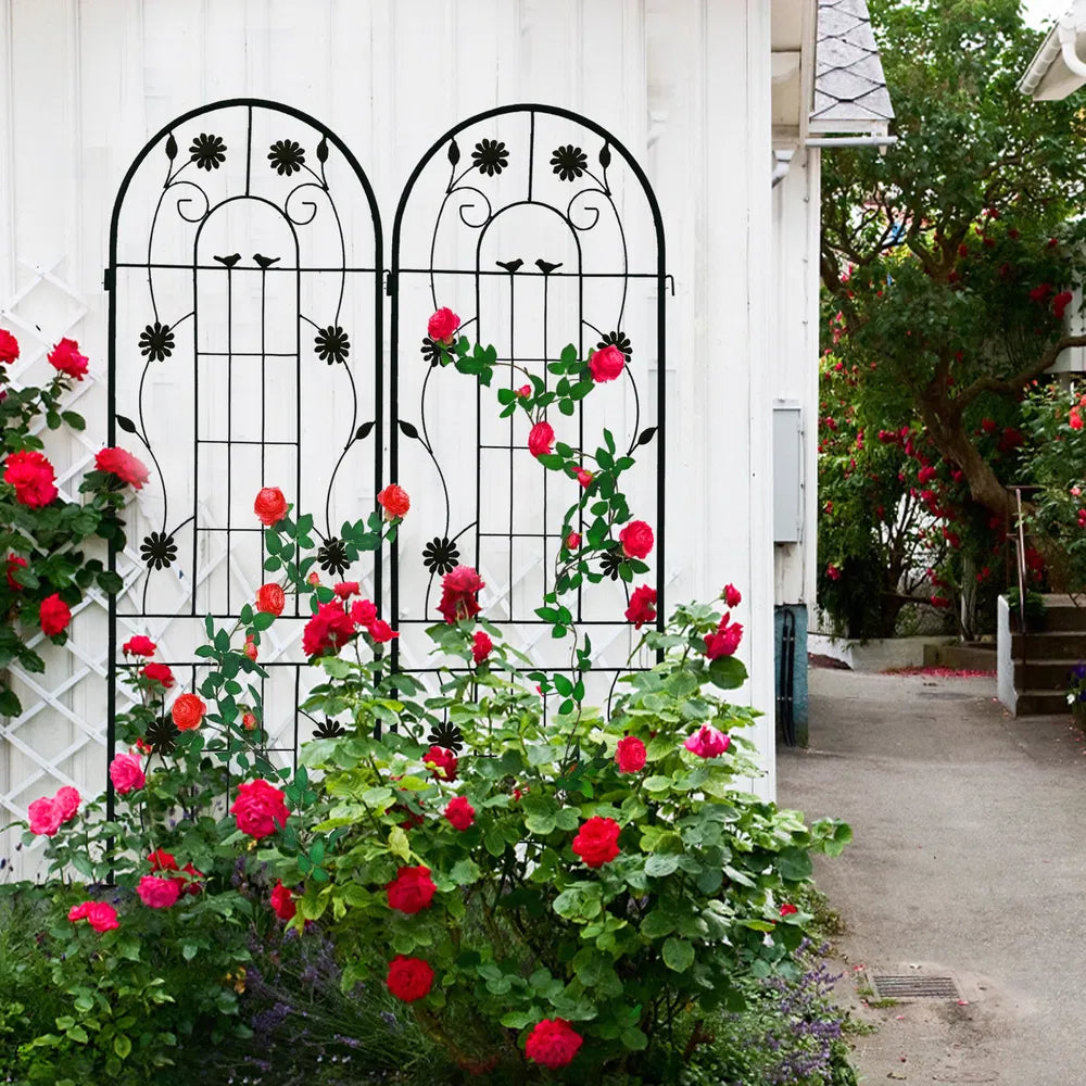 Metal Garden Trellis - 71" x 19.7" Rustproof Support for Climbing Plants