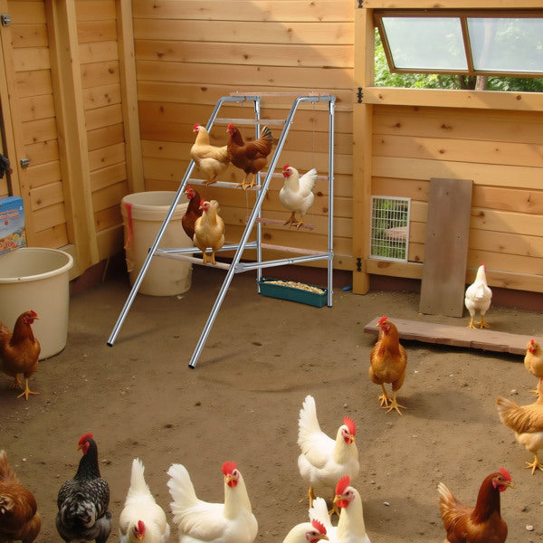 Outdoor Chicken Perch 103x50x100cm with 4 Levels - Durable Metal & Wood