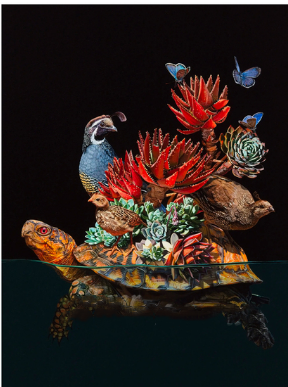 Water Animal Diamond Painting Kit Frog Square Full Cover Craft Set