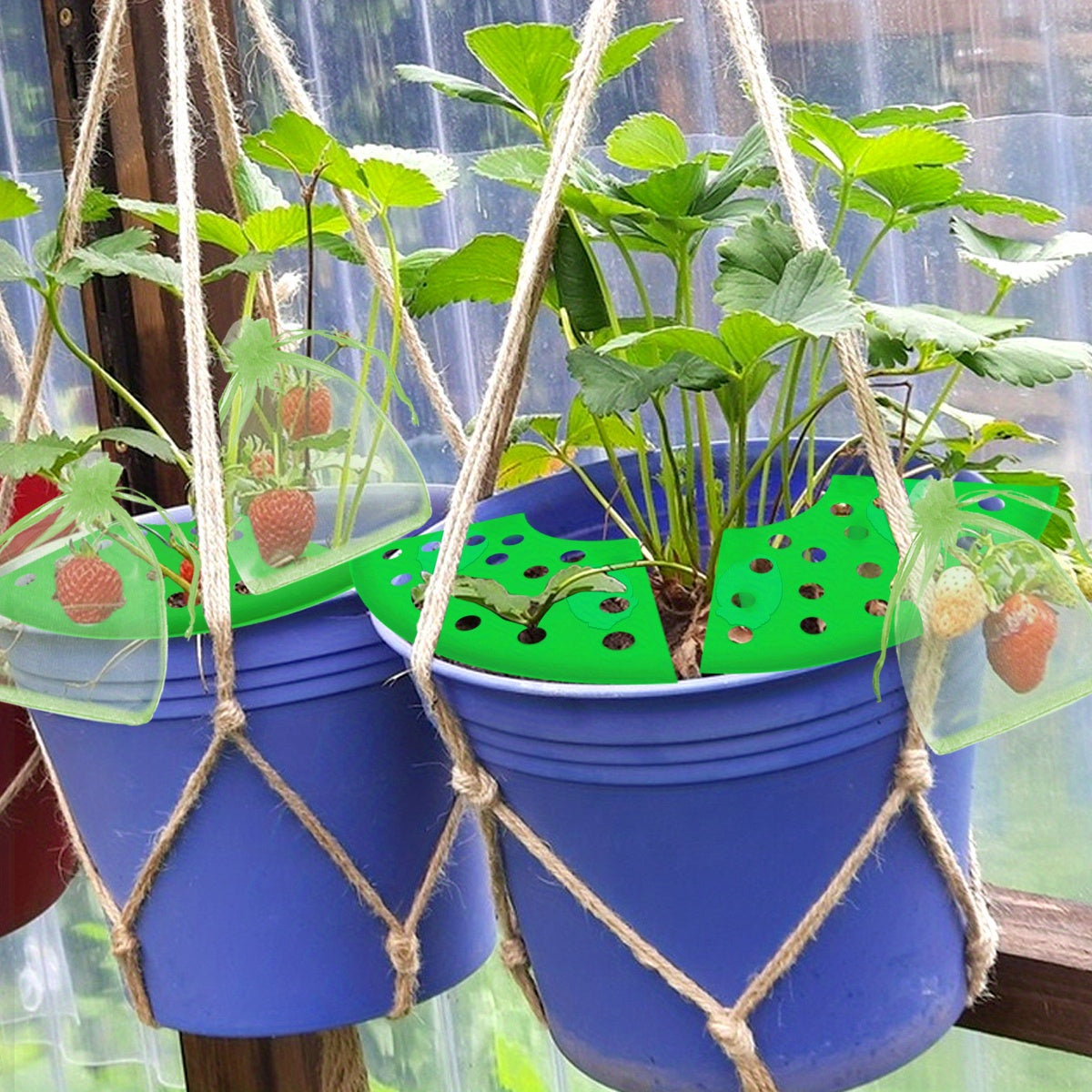 Strawberry Planting Kit with Support Racks and Mesh Bags