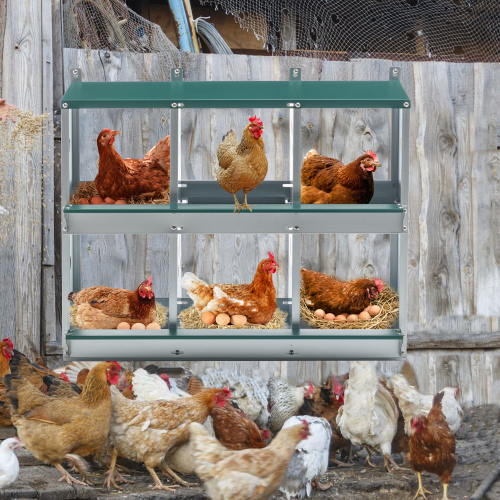 Galvanized Steel Chicken Nesting Box with 6 Compartments - Easy Assembly, Green