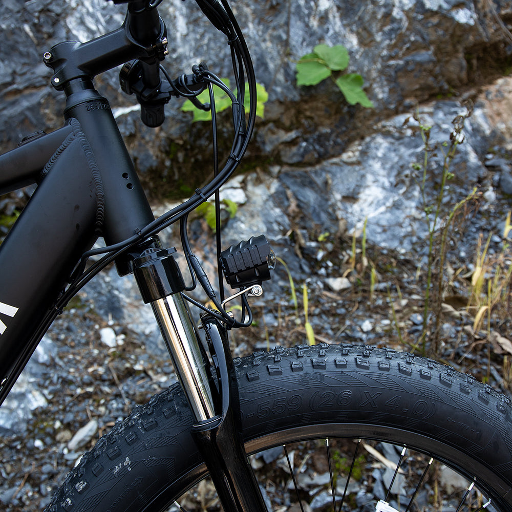 1000W Electric Fat Tire Mountain Bike - 26x4 Inch, Black