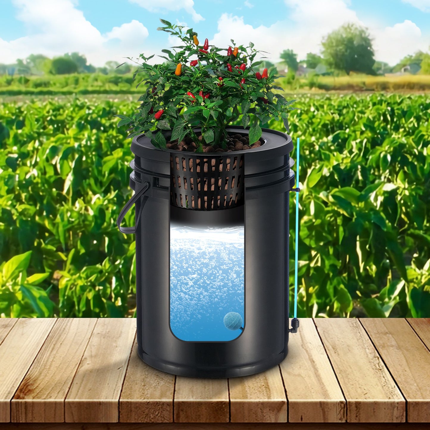 Hydroponic Grow System with 5-Gallon Buckets, Air Pump & Drip Kit - Black