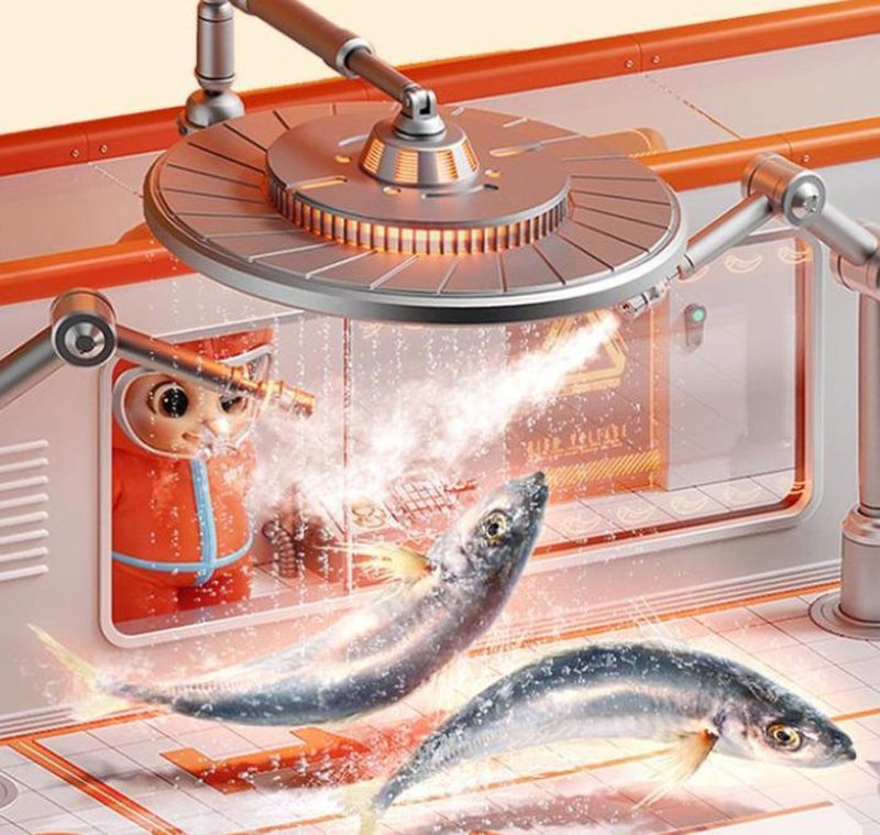 Little Fishies Dried Fish Snack Set 400g
