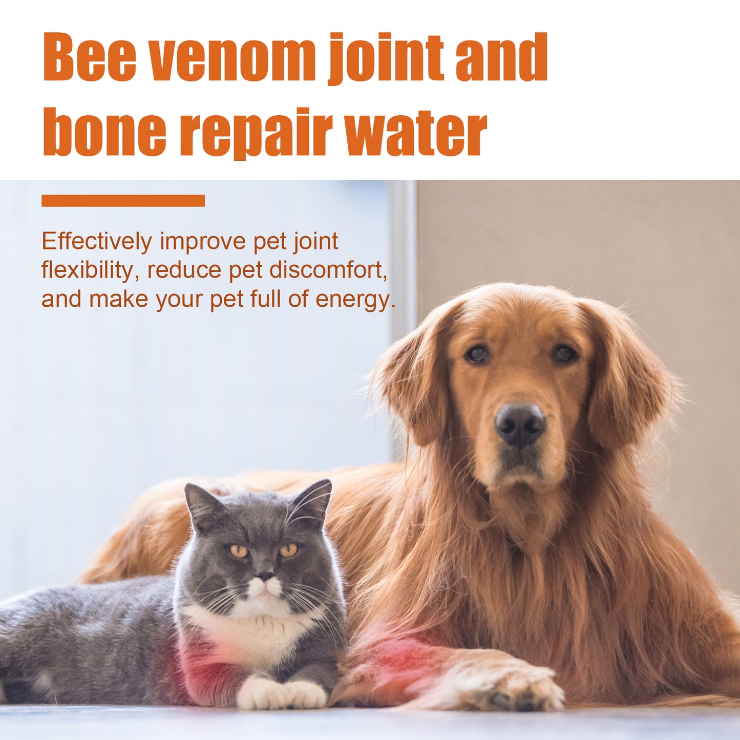 Pet Joint Support Oil for Dogs & Cats - 30ml Relief & Mobility Supplement