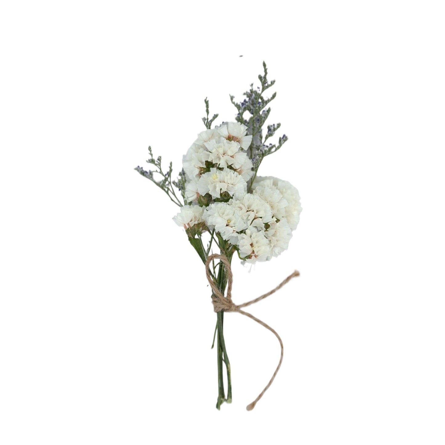 Mini Dried Flower Bouquet Gift for Home Decor and Crafts - Assorted Styles 1-20pcs