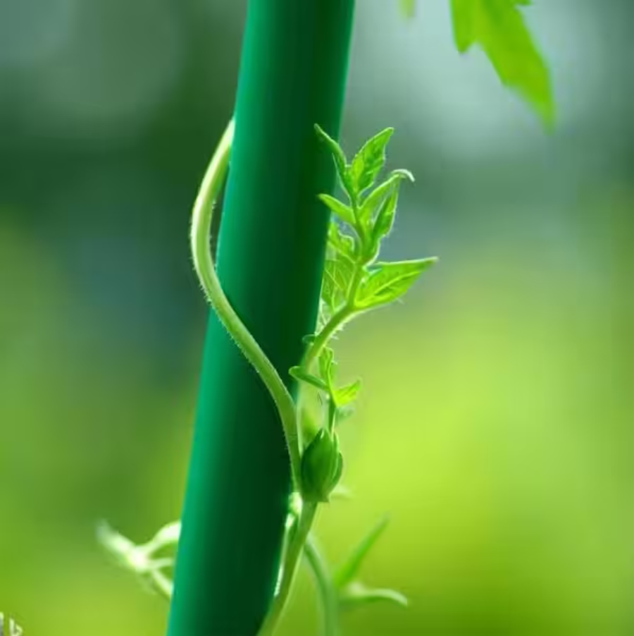 Fiberglass Round Rod Dark Green 20 Pieces for Garden and DIY Projects