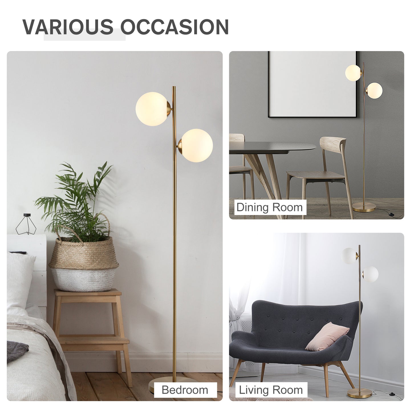 Modern Gold Floor Lamp with 2 Glass Shades - Adjustable Indoor Lighting