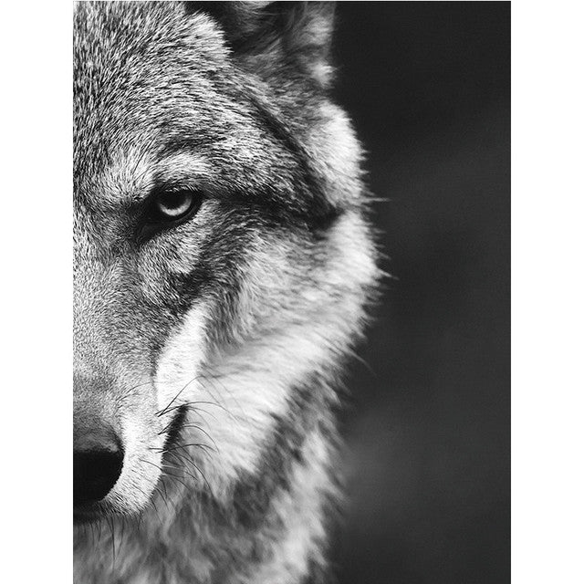 Forest Wolf Head Wall Art Poster - Scandinavian Style Canvas Decor