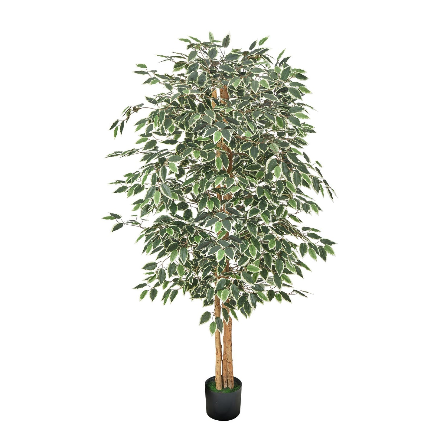 6FT Artificial Ficus Tree with Black Pot - Indoor Faux Plant Decor